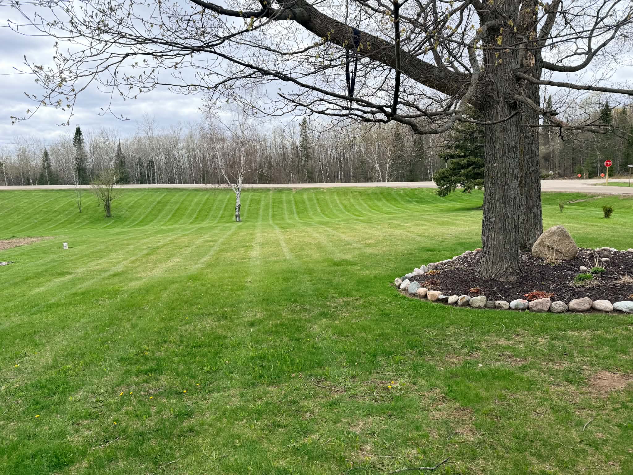 Professional Mowing